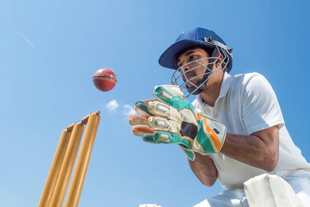 The role of luck vs. skill in cricket betting